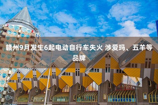 赣州9月发生6起电动自行车失火 涉爱玛、五羊等品牌