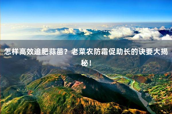 怎样高效追肥蒜苗？老菜农防霜促助长的诀要大揭秘！