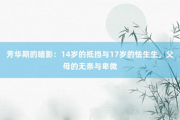 芳华期的暗影：14岁的抵挡与17岁的怯生生，父母的无奈与卑微