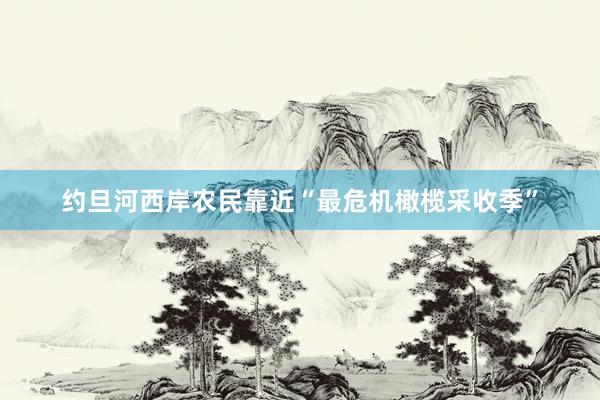 约旦河西岸农民靠近“最危机橄榄采收季”