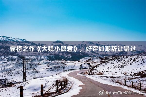 霸榜之作《大魏小郎君》，好评如潮辞让错过
