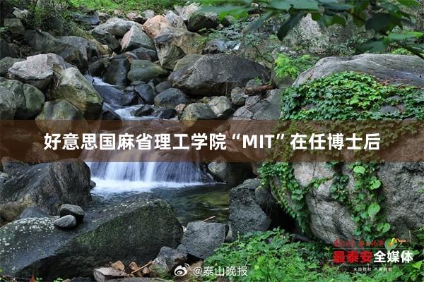 好意思国麻省理工学院“MIT”在任博士后