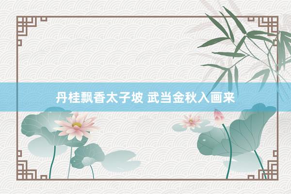 丹桂飘香太子坡 武当金秋入画来