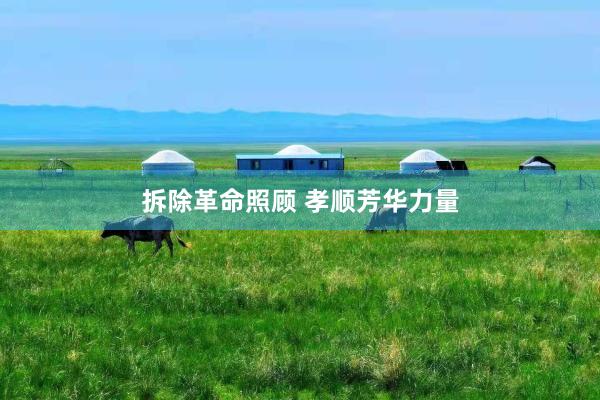 拆除革命照顾 孝顺芳华力量