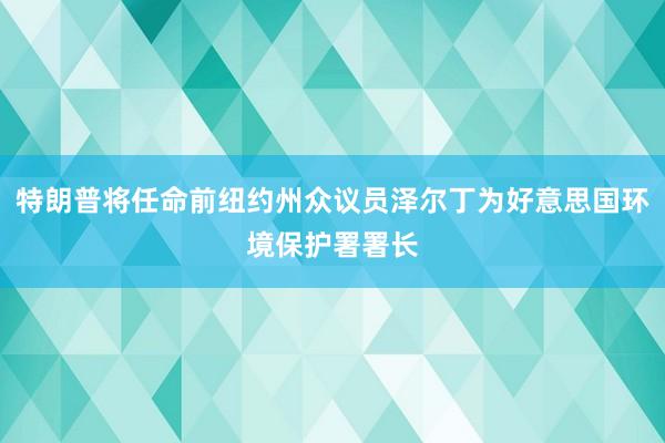 特朗普将任命前纽约州众议员泽尔丁为好意思国环境保护署署长