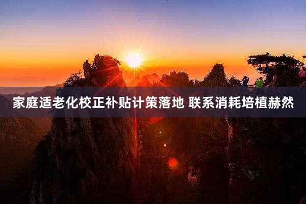 家庭适老化校正补贴计策落地 联系消耗培植赫然