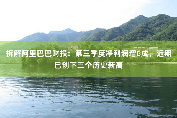 拆解阿里巴巴财报：第三季度净利润增6成，近期已创下三个历史新高