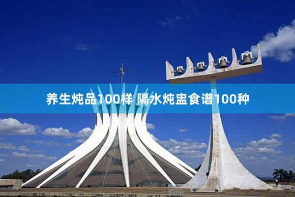 养生炖品100样 隔水炖盅食谱100种