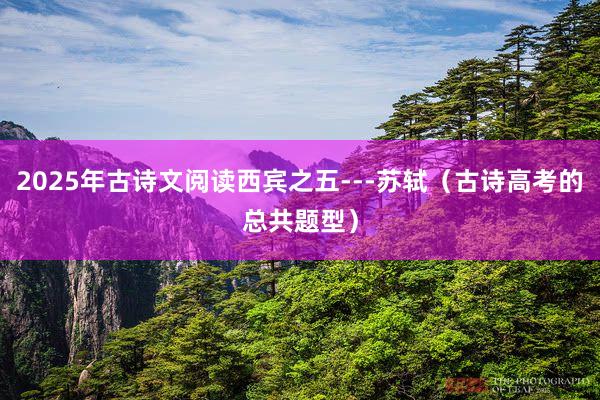 2025年古诗文阅读西宾之五---苏轼（古诗高考的总共题型）