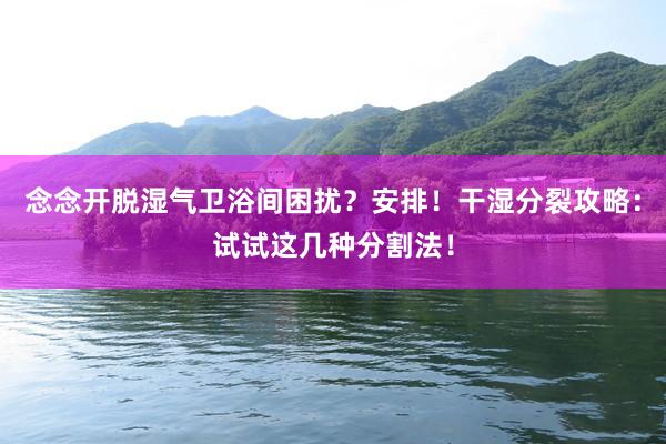 念念开脱湿气卫浴间困扰？安排！干湿分裂攻略：试试这几种分割法！