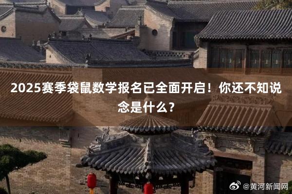 2025赛季袋鼠数学报名已全面开启！你还不知说念是什么？