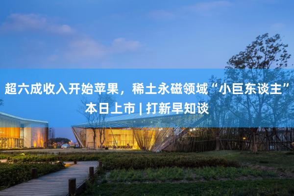 超六成收入开始苹果，稀土永磁领域“小巨东谈主”本日上市 | 打新早知谈