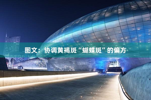 图文：协调黄褐斑“蝴蝶斑”的偏方