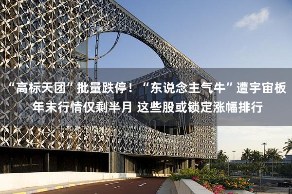 “高标天团”批量跌停！“东说念主气牛”遭宇宙板 年末行情仅剩半月 这些股或锁定涨幅排行