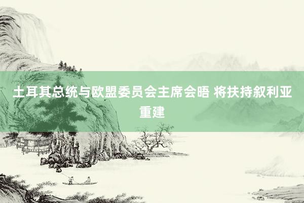 土耳其总统与欧盟委员会主席会晤 将扶持叙利亚重建
